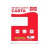 Hojas de Repuesto para Carpeta Scribe 3400, Raya, Carta, 100 h.