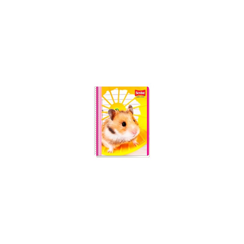 Cuaderno Profesional Scribe Mega Plus 7512 Cuadro Chico 100 h.