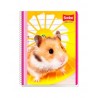 Cuaderno Profesional Scribe Mega Plus 7512 Cuadro Chico 100 h.