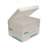 Caja para Archivo Plástico Cartonplast Carta 38.5 x 31 x 25 cm. Tapa Integrada