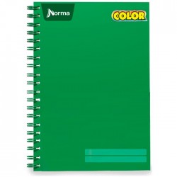 Cuaderno Profesional Espiral Doble O Norma Color Cuadro Grande 100 h.