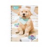 Cuaderno Prof. Esp.Dob. O Dogs 520739 Raya 100 H.
