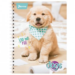 Cuaderno Prof. Esp.Dob. O Dogs 520739 Raya 100 H.