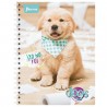 Cuaderno Prof. Esp.Dob. O Dogs 520739 Raya 100 H.