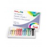 Gises Pastel Pentel PHN-12 para Acuarela con 12 piezas