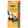 Lápices de Colores Bic Evolution Hexagonales C/12