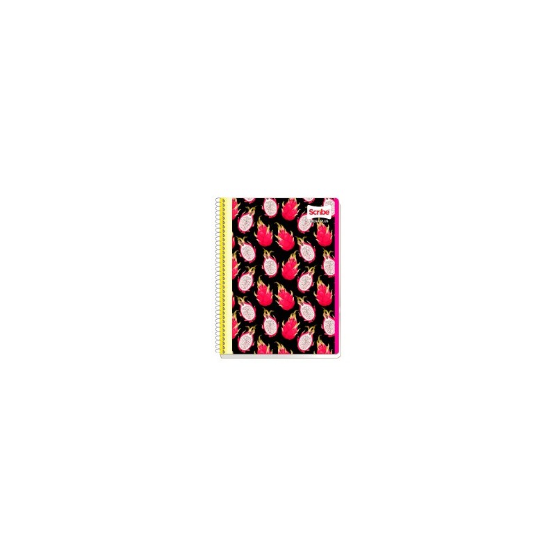 Cuaderno Profesional Scribe Mega Plus 7510 Raya 100 h.